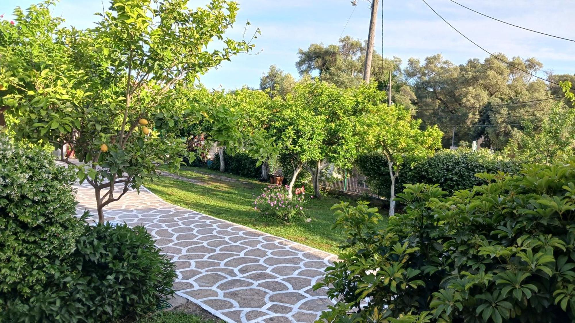 Villa Ioannidis Parga Buitenkant foto