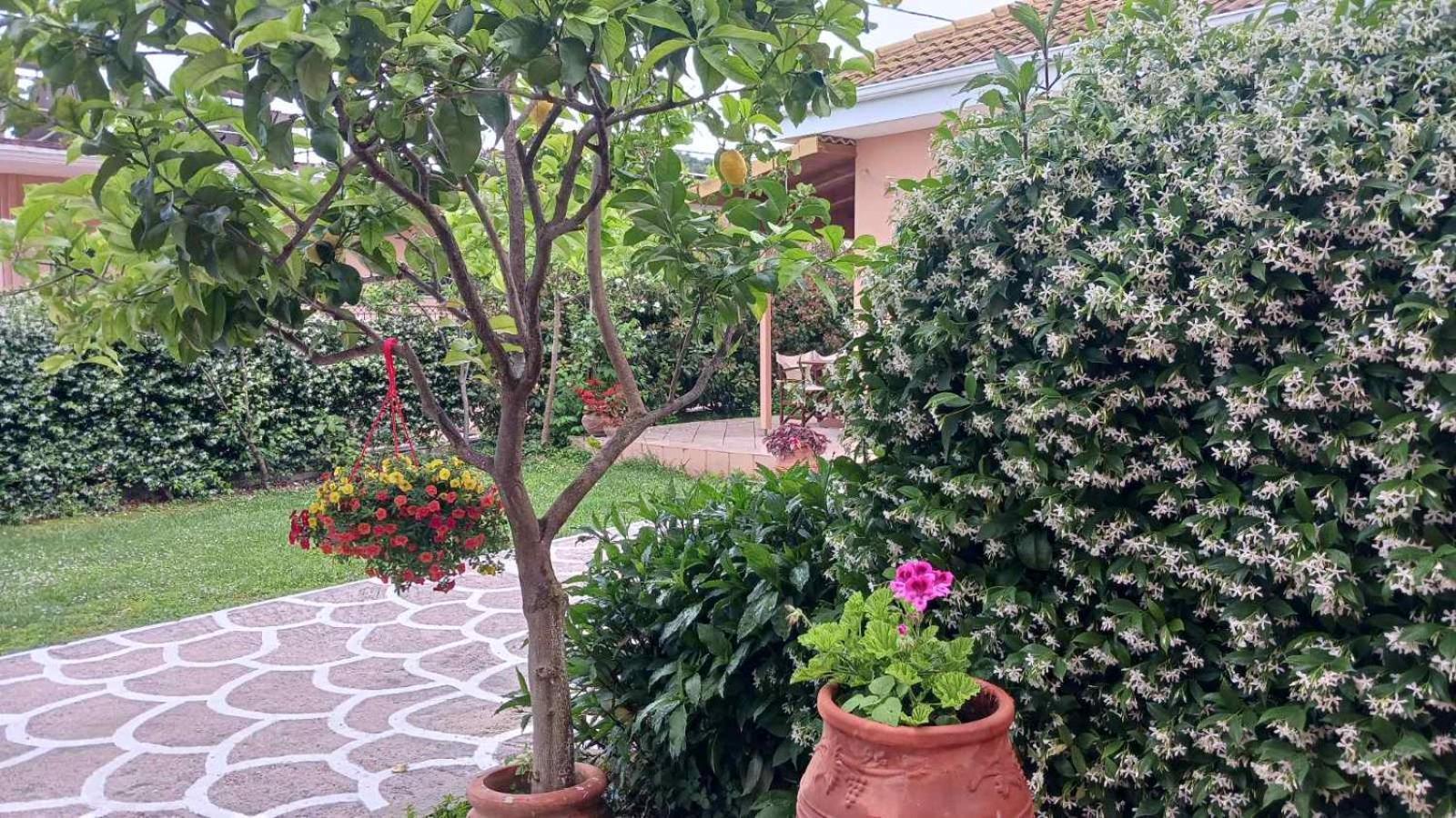 Villa Ioannidis Parga Buitenkant foto